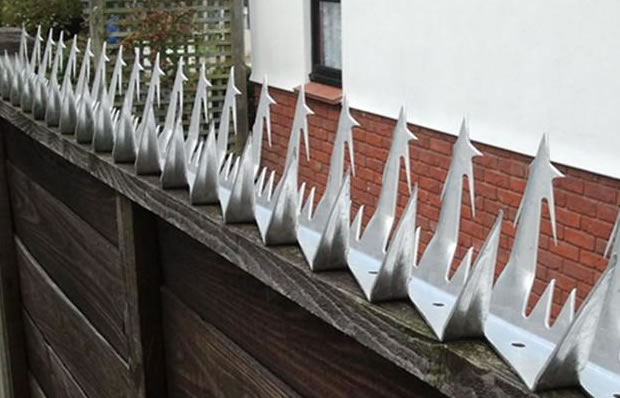 Metal Fencing Security Spikes Hot Dipped Galvanized