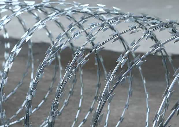 Coiled razor wire ribbons hot dipped galvanized